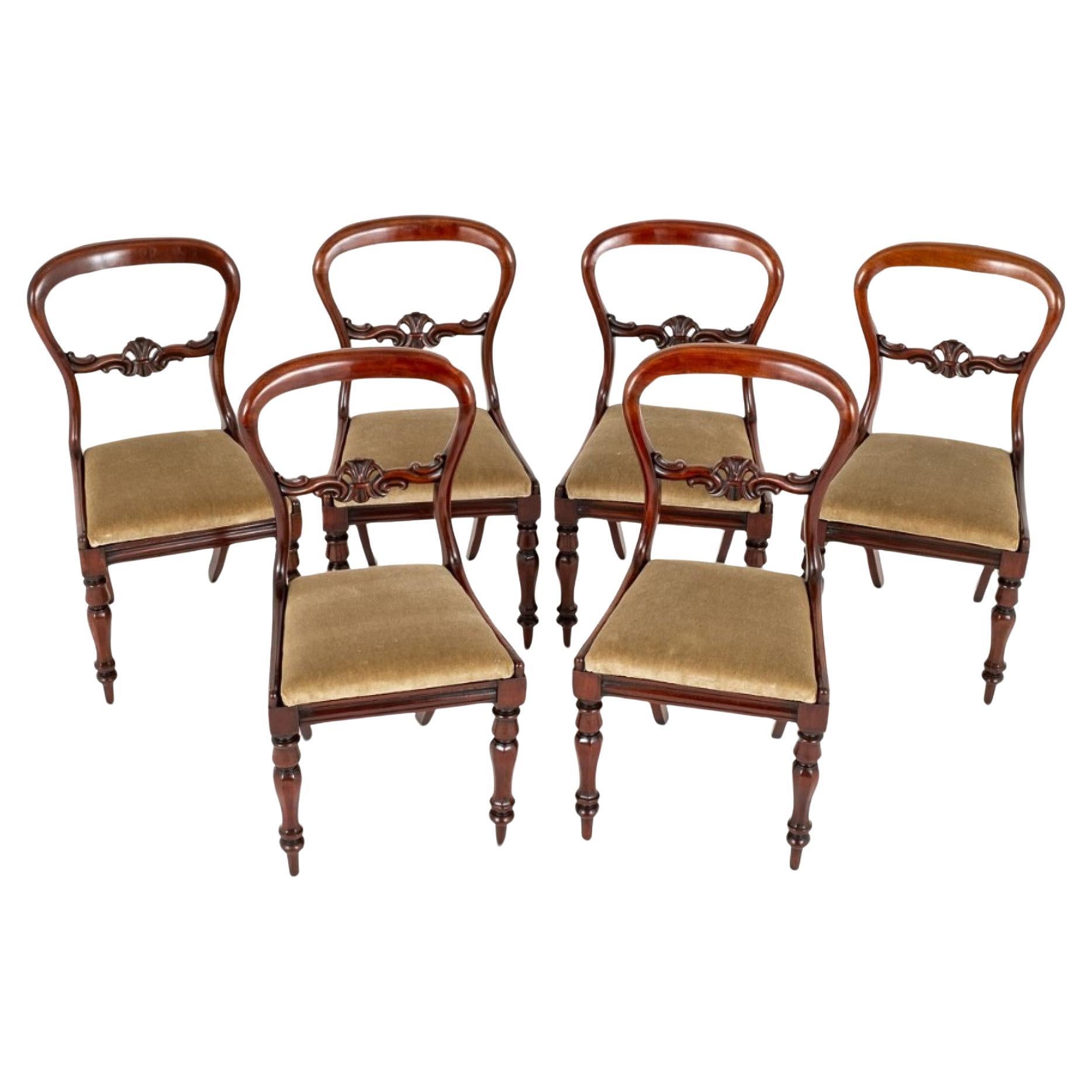 Set Victorian Dining Chairs Balloon Back 1860
