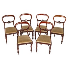 Antique Set Victorian Dining Chairs Balloon Back 1860