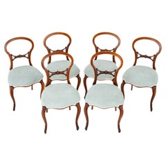 Set Victorian Dining Chairs Balloon Back Mahogany, 1860