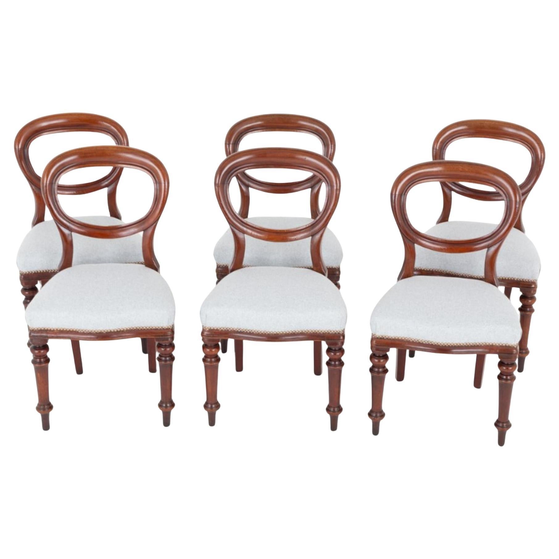 Set Victorian Dining Chairs Balloon Back Mahogany Diners 1860