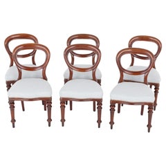 Set Victorian Dining Chairs Balloon Back Mahogany Diners 1860