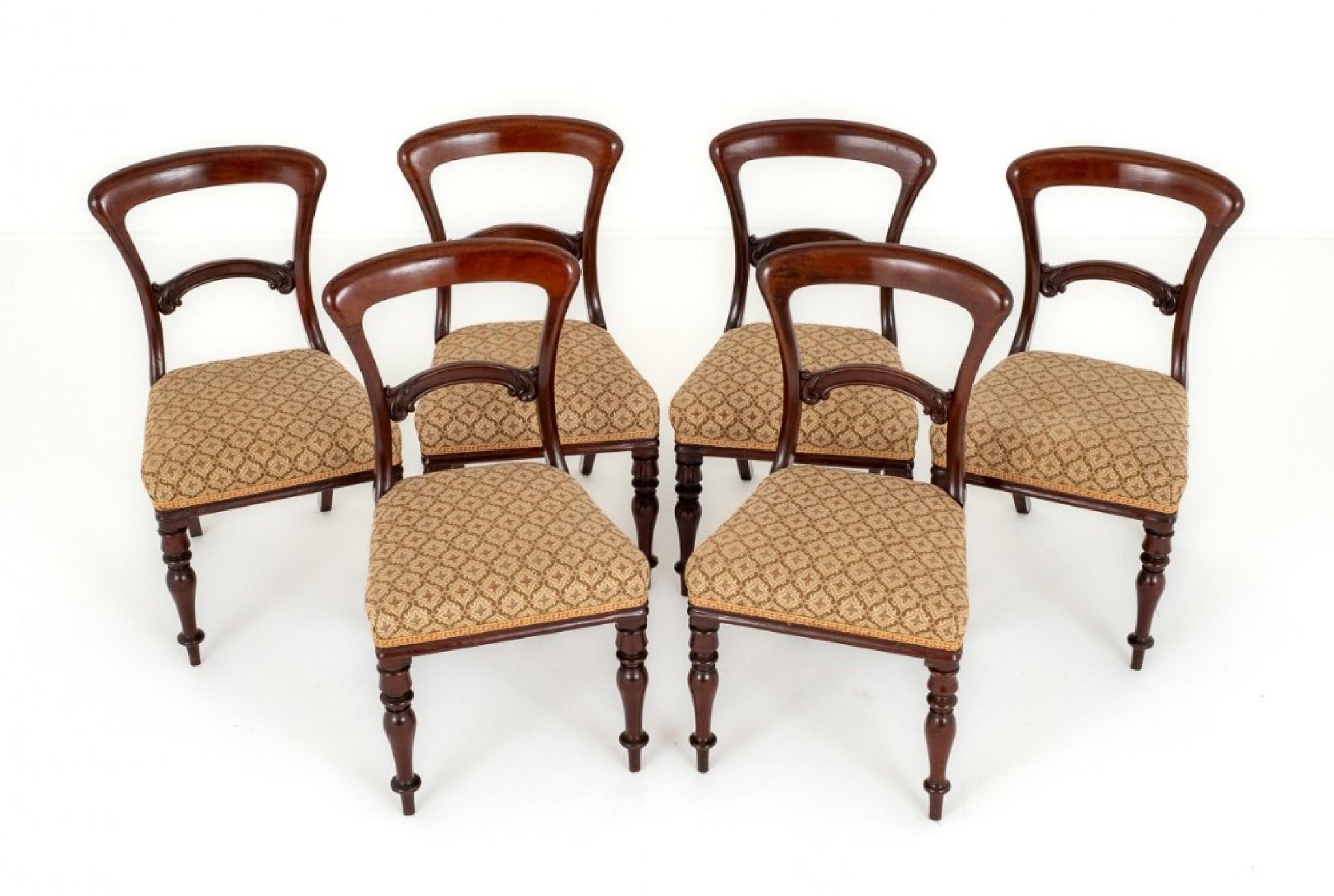 Mid-19th Century Set Victorian Dining Chairs Balloon Back Mahogany For Sale