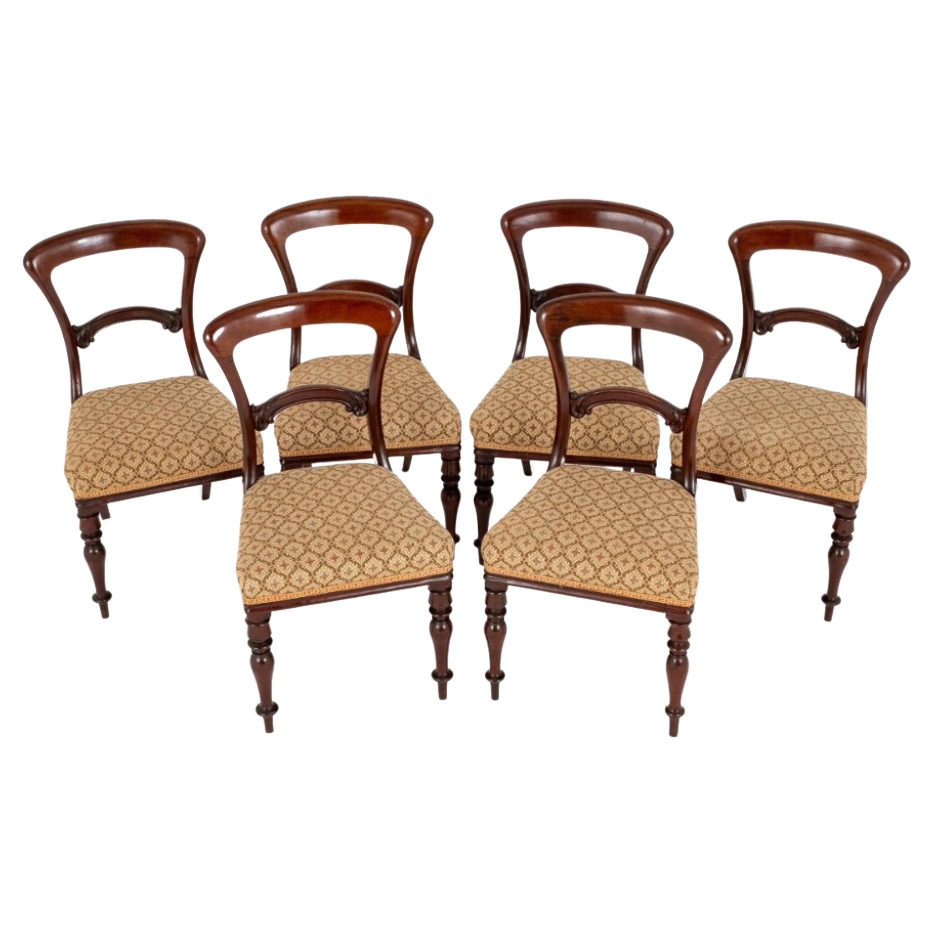 Set Victorian Dining Chairs Balloon Back Mahogany For Sale