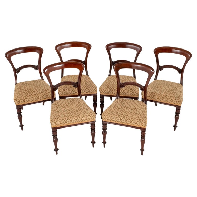 Set Victorian Dining Chairs Balloon Back Mahogany For Sale at 1stDibs