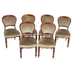 Set William IV Dining Chairs Uholstered 19th Century