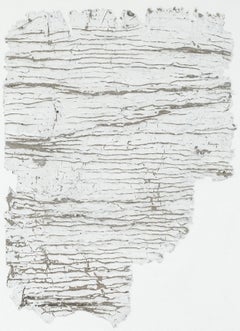 Fragmentation Installation Series No. 25