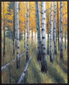 Light Through the Aspens