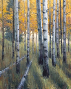 Light Through the Aspens