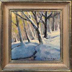 Snow Blanket