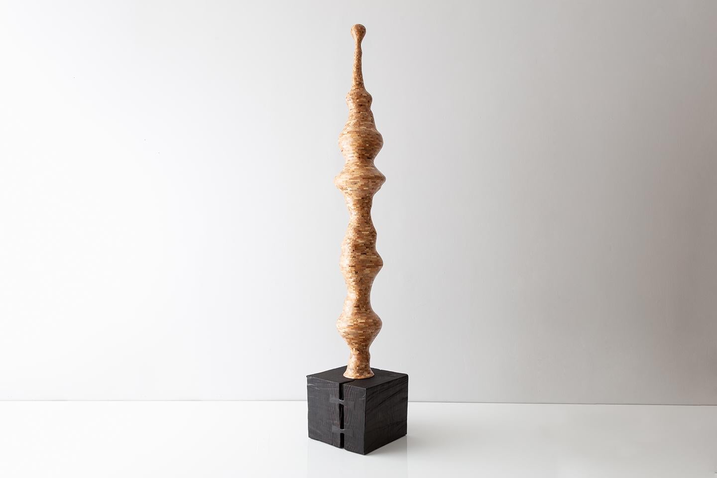 While this STACKED Totem is playful and slightly surreal, it makes quite a statement in any room. The climbing tower of salvaged Spalted Maple consists of approximately 6500 pieces individually stacked into over 270 layers, standing at almost 7'.