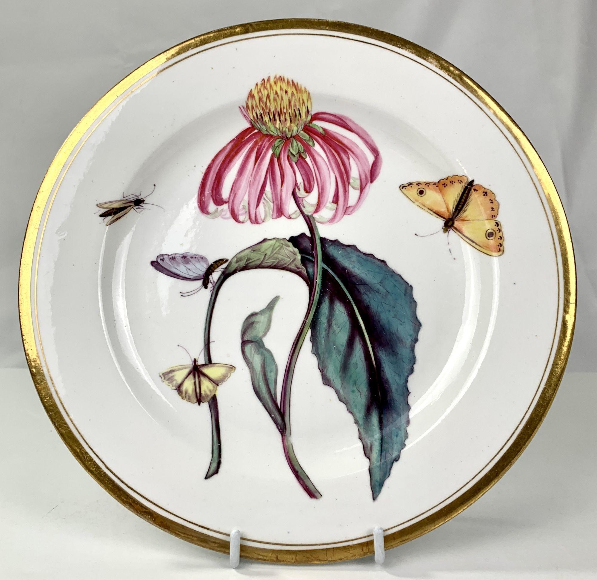 Sept assiettes de cabinet botaniques anciennes en porcelaine fabriquées par Minton vers 1825 en vente 4