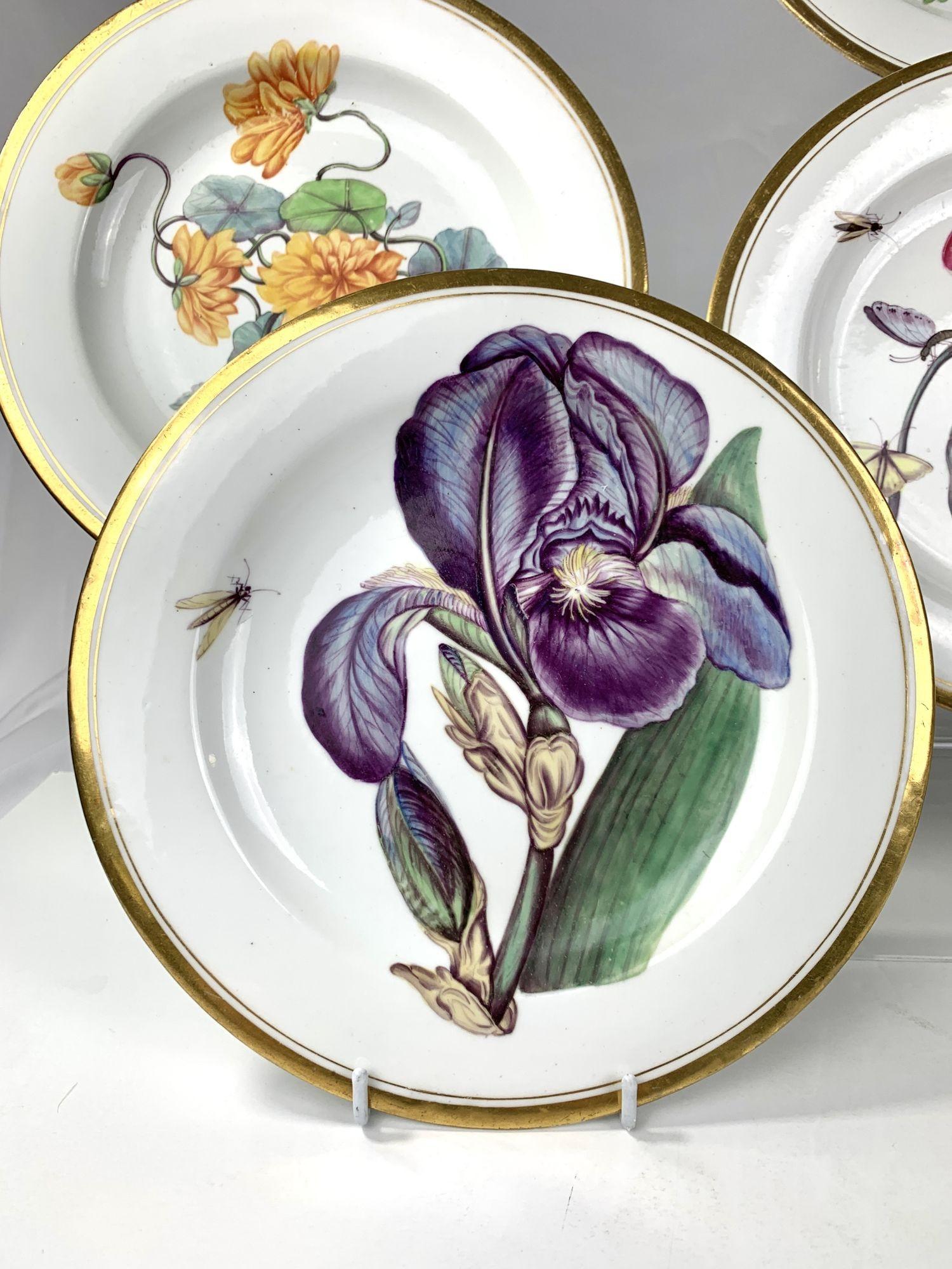 Bardith has been in business for 58 years. The flowers on these cabinet plates are among the most beautiful we have ever owned. 
They are both flamboyant and natural.
The plates were made and hand-painted at Minton, an English factory, in the early