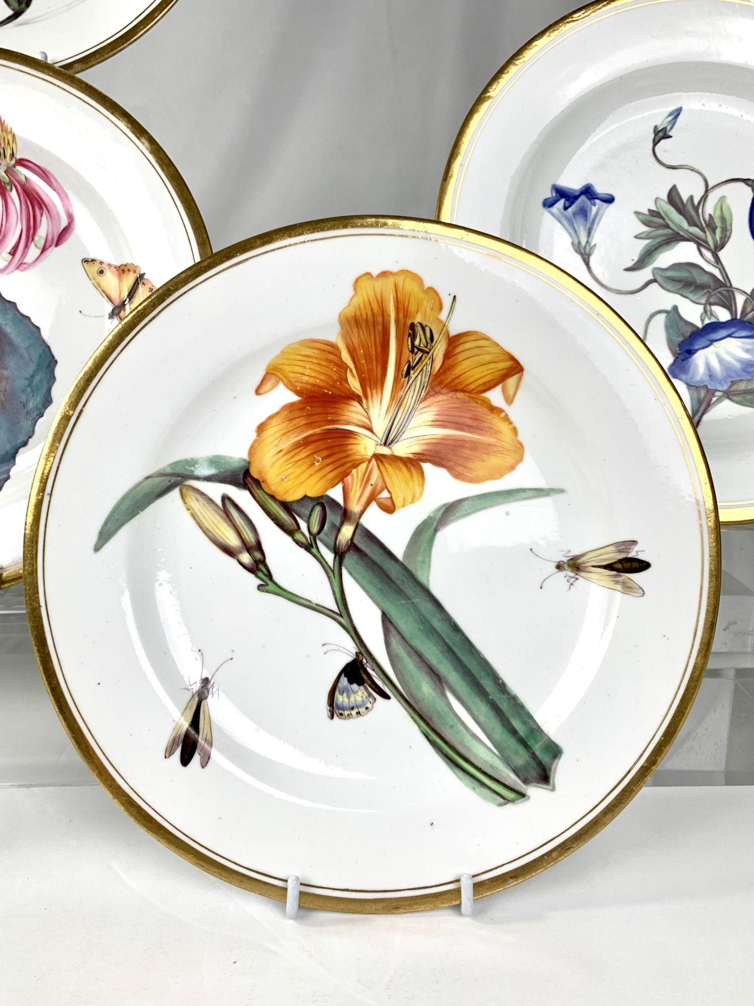 Cabinet Set Seven Antique Porcelain Botanical Plates by Minton Circa 1825 In Excellent Condition In Katonah, NY