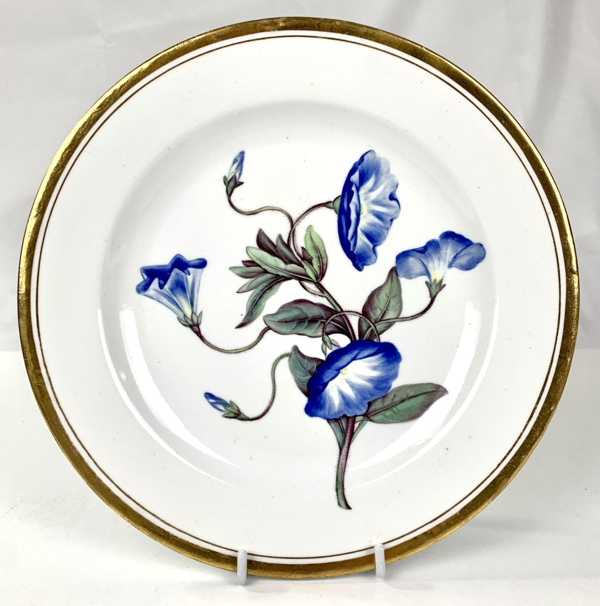 19th Century Cabinet Set Seven Antique Porcelain Botanical Plates by Minton Circa 1825