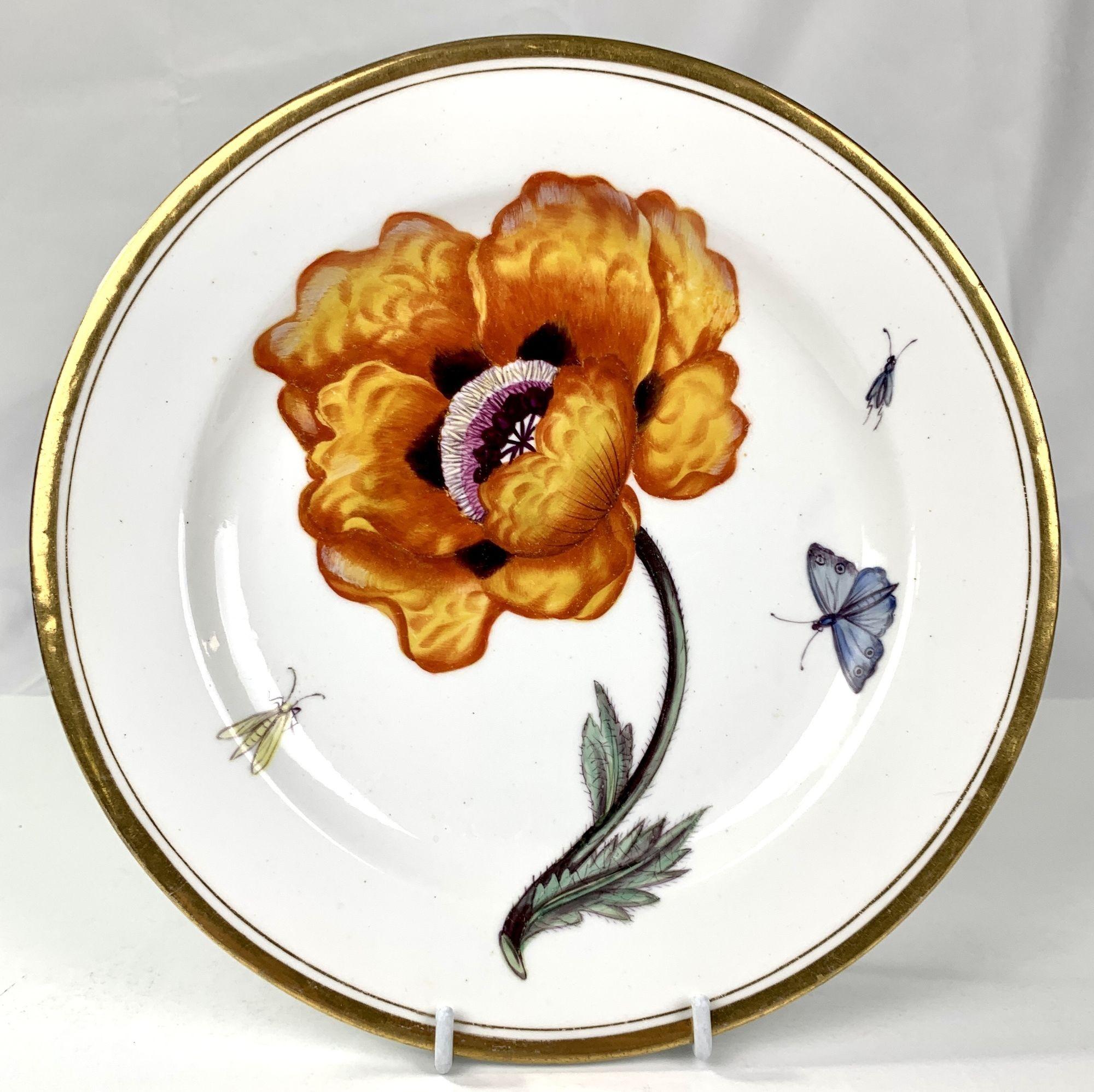 Seven Antique Porcelain Botanical Cabinet Plates Made by Minton Circa 1825 For Sale 2