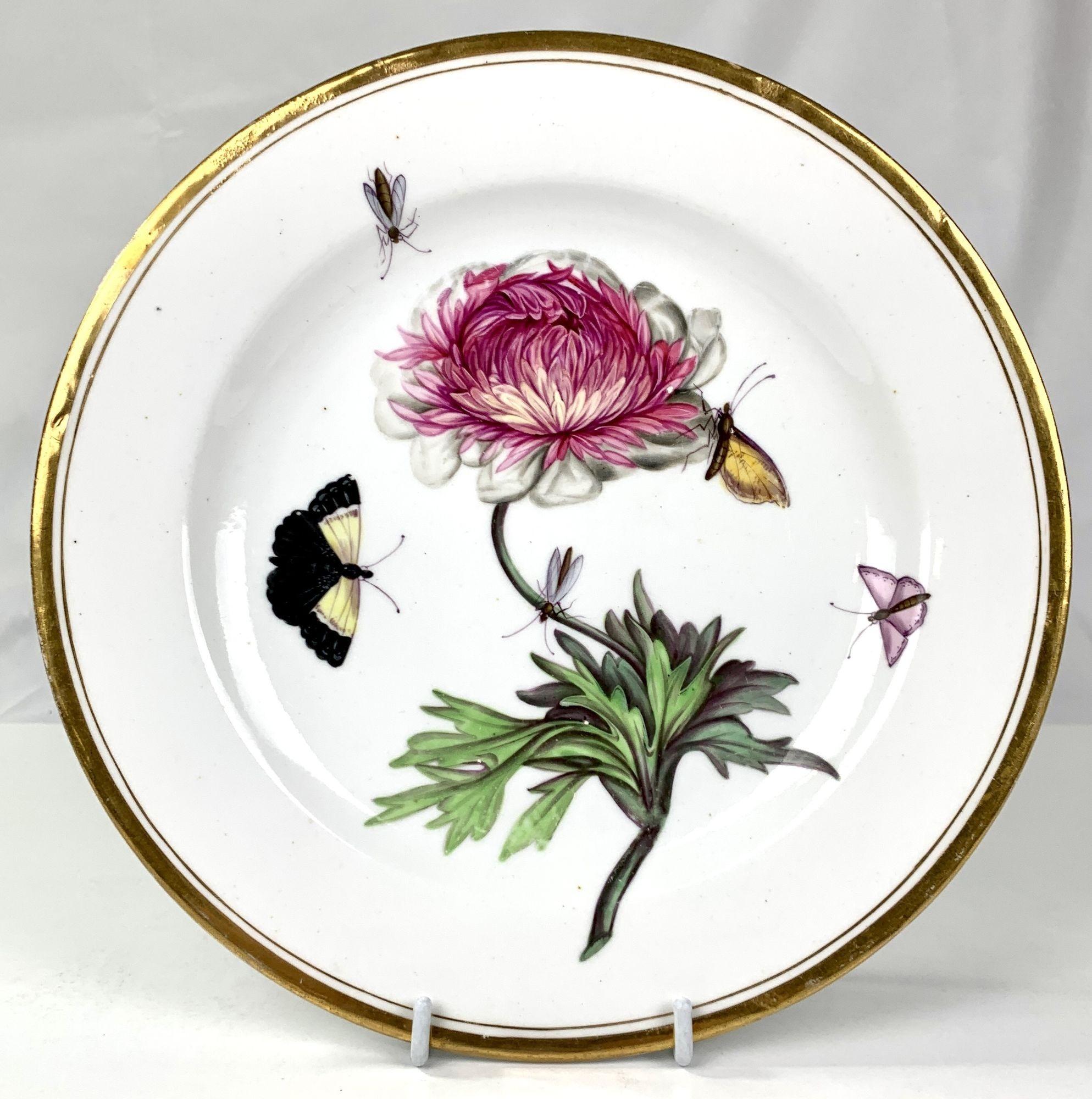 Seven Antique Porcelain Botanical Cabinet Plates Made by Minton Circa 1825 For Sale 3