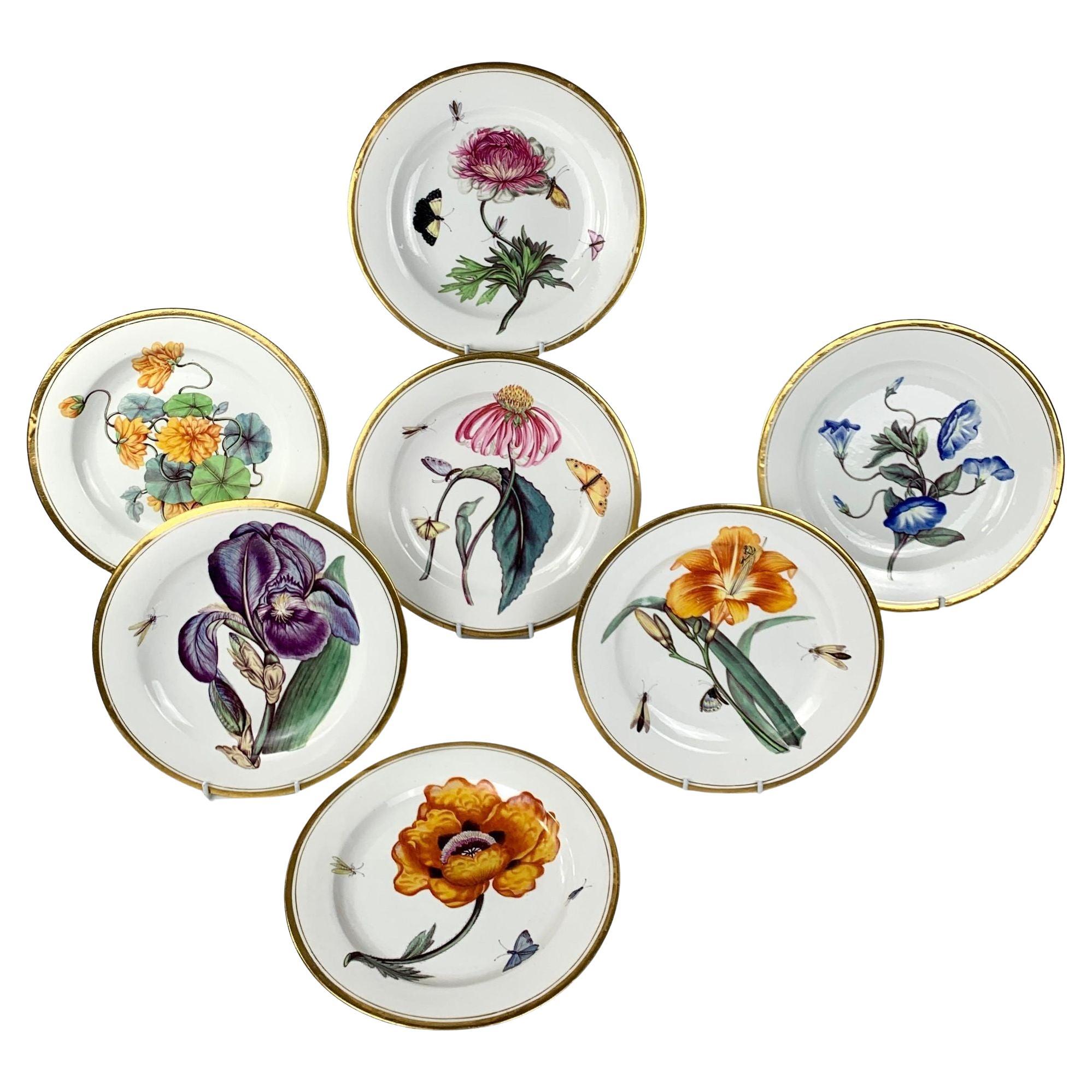 Seven Antique Porcelain Botanical Cabinet Plates Made by Minton Circa 1825