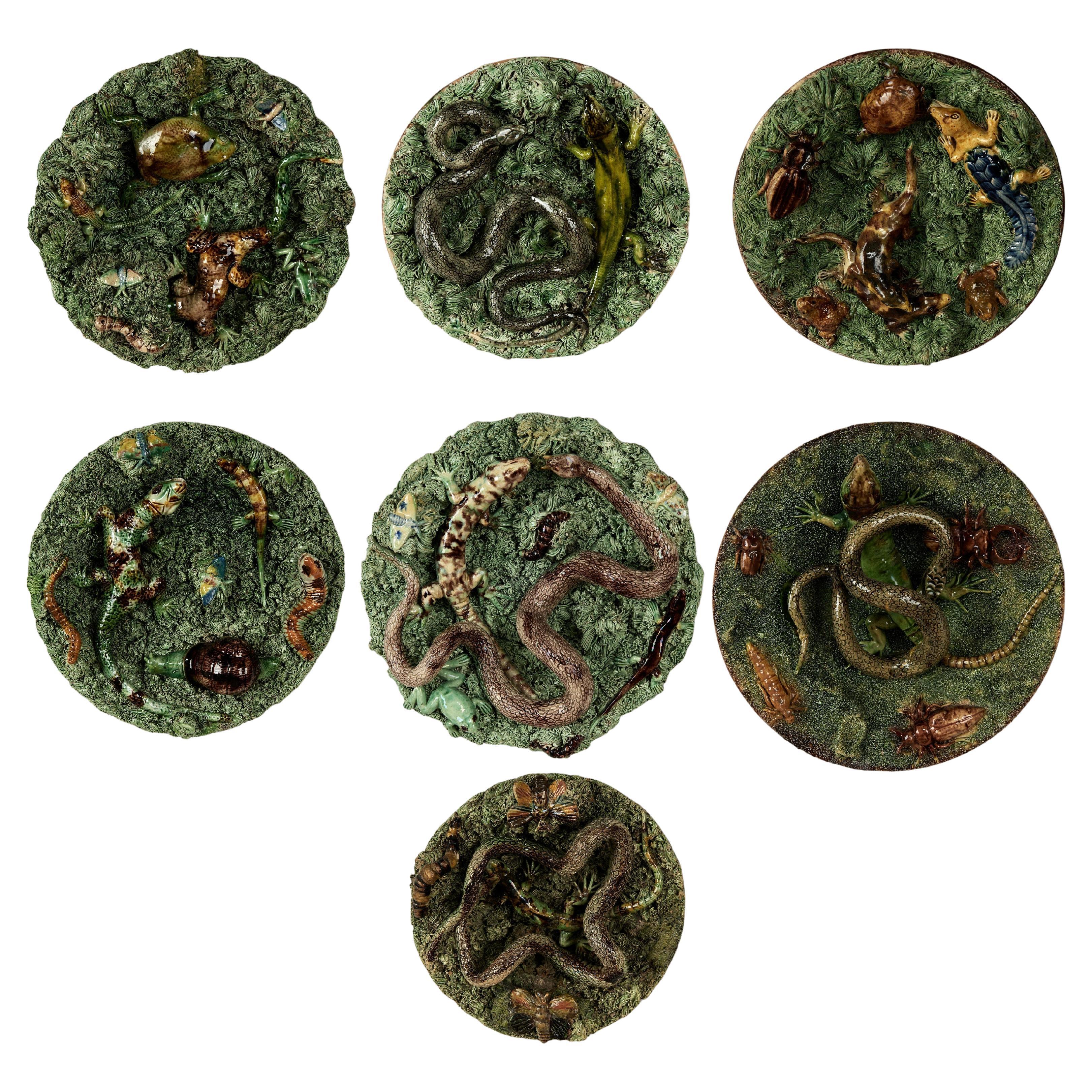 Seven Antique Portuguese Palissy Ware Majolica Wall Plates Priced Individually For Sale