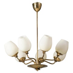 Chandeliers and Pendants