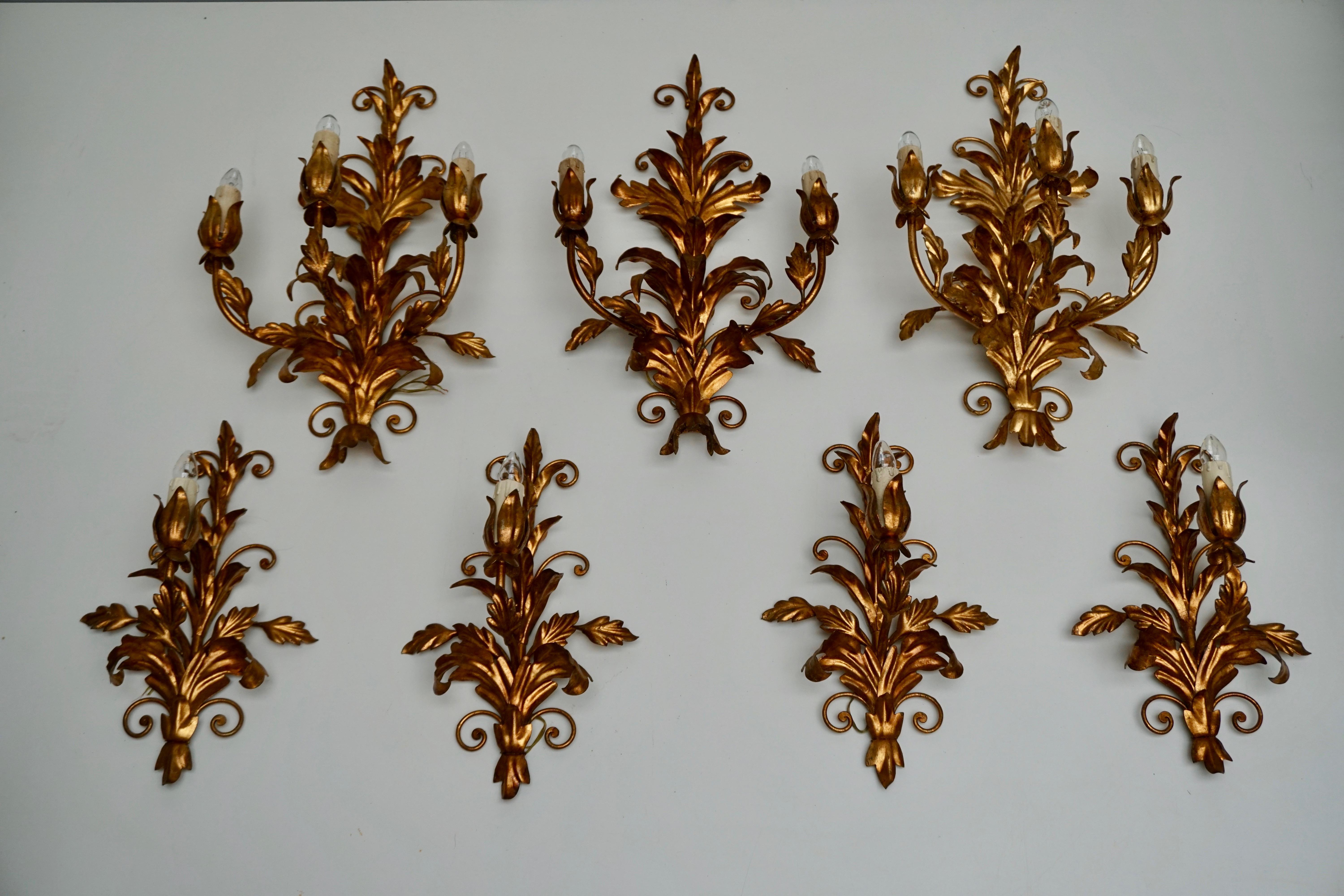 Five beautiful Italian brass sconces.
Dimensions:
2 wall lights: height 48 cm - width 28 cm - depth 18 cm.
2 wall lights: height 34 cm - width 22 cm - depth 13 cm.
1 wall light: height 48 cm - width 28 cm - depth 11 cm.