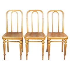 Six chairs Thonet Nr.41, 1885