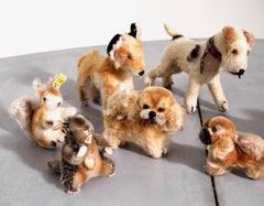 Seven Steiff Teddy Bears, 20th Century