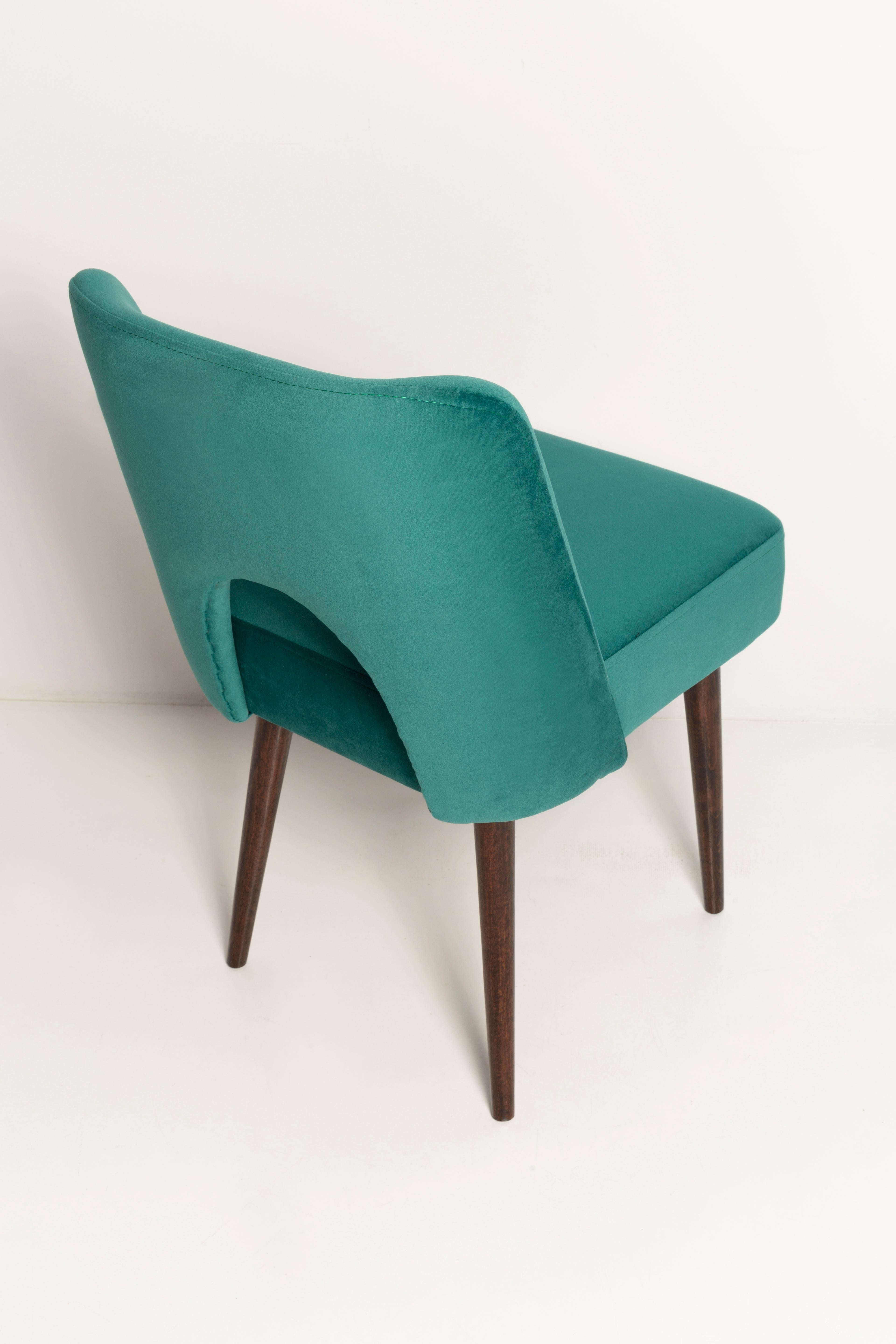 Seven Velvet 'Shell' Chairs, Dark Green Velvet, Dark Beech Wood, Europe, 1960s For Sale 5