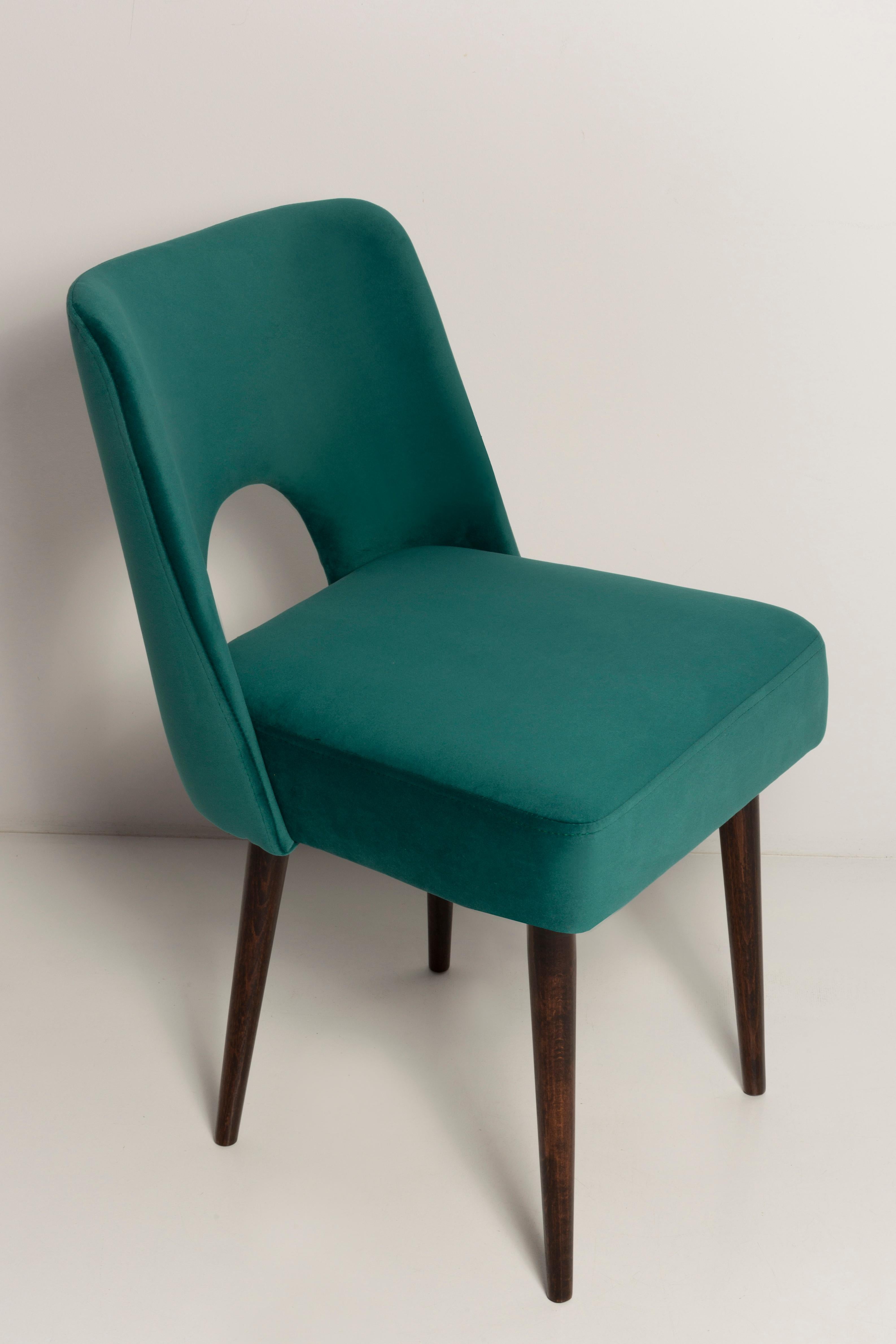 Mid-Century Modern Seven Velvet 'Shell' Chairs, Dark Green Velvet, Dark Beech Wood, Europe, 1960s For Sale