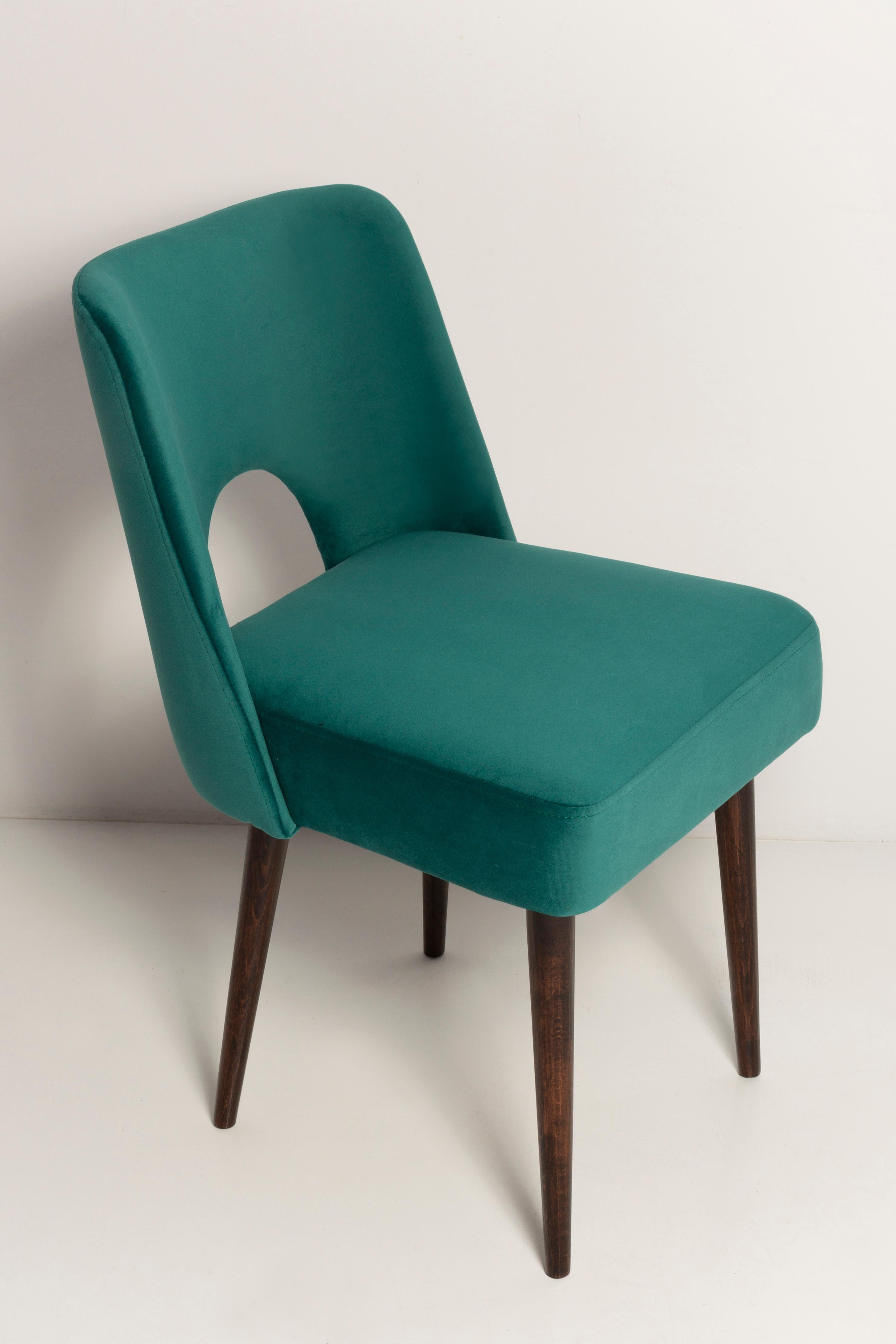 Polish Seven Velvet 'Shell' Chairs, Dark Green Velvet, Dark Beech Wood, Europe, 1960s For Sale