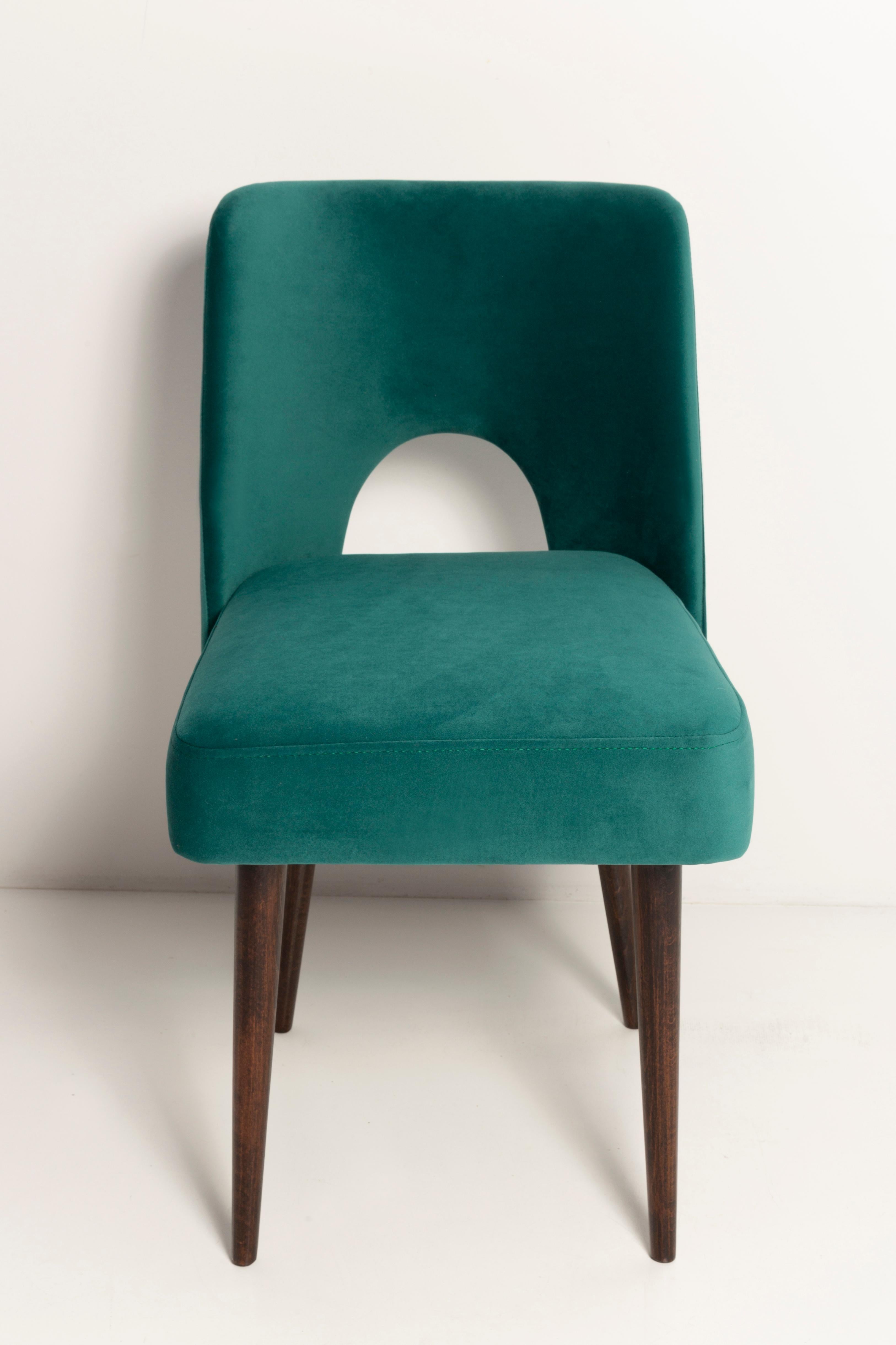 Seven Velvet 'Shell' Chairs, Dark Green Velvet, Dark Beech Wood, Europe, 1960s For Sale 1