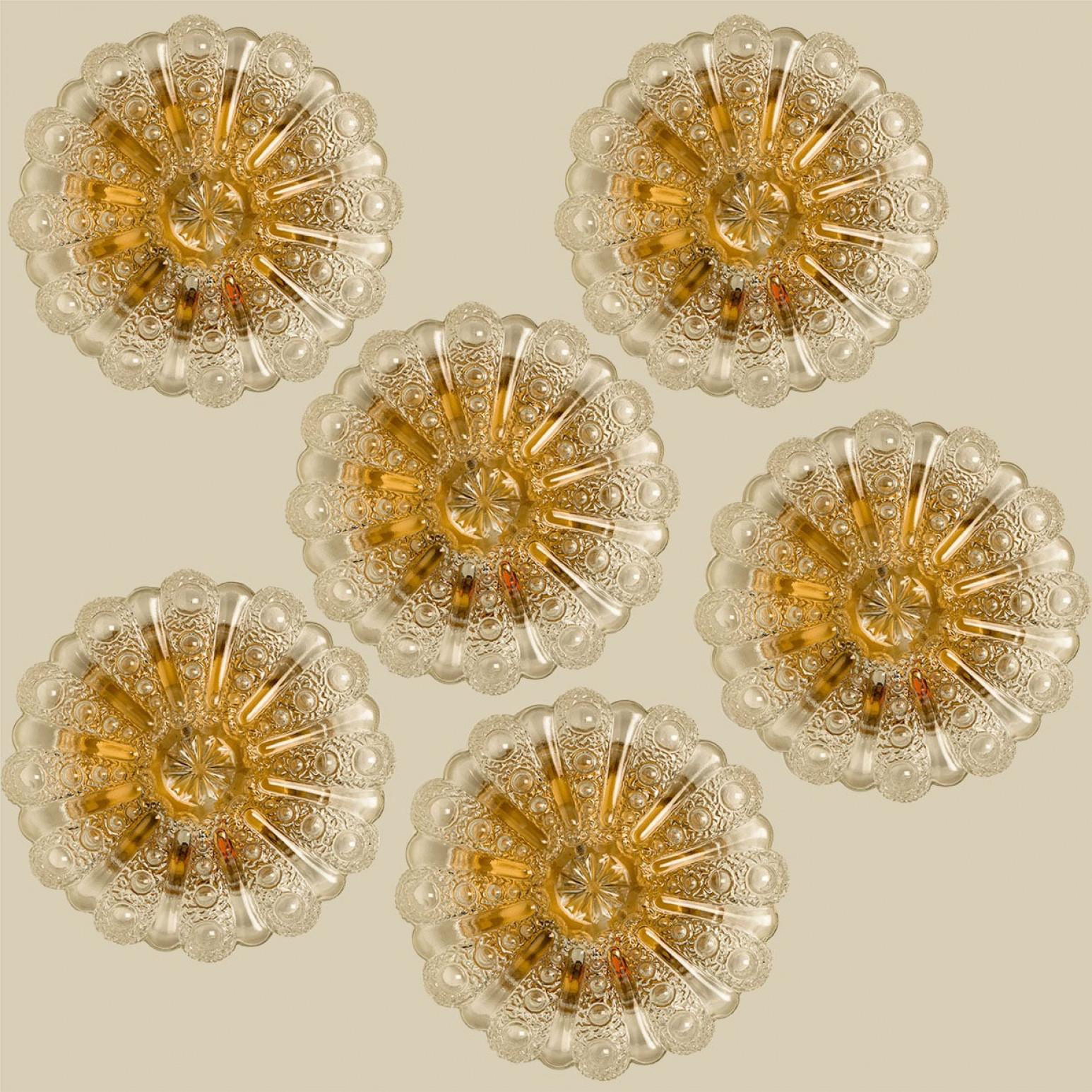 Diverse applique in vetro trasparente a bolle d'aria progettate nello stile di Helena Tynell intorno al 1960-1970 in Europa, Germania. Il vetro con bolle dalla consistenza ricca dona una luce meravigliosa. Il vetro rotondo è montato su una piastra