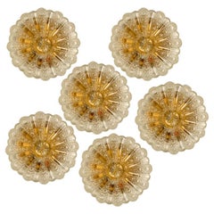 Several Bubble Glass Wall Lights/Flush mounts in the style of Tynell, 1960