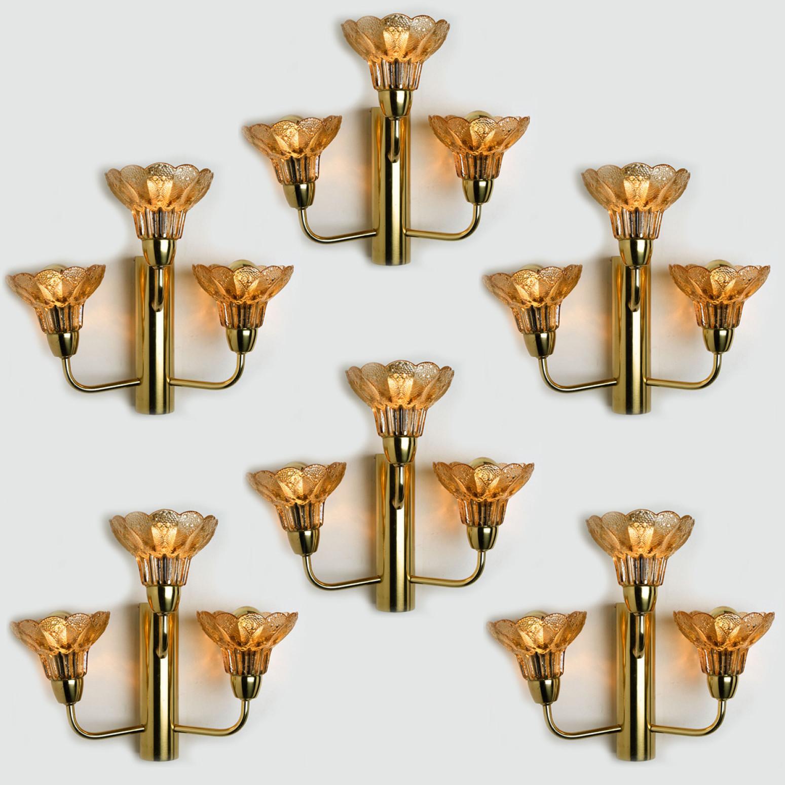 Several Flower Glass and Brass Wall Sconces, Germany, 1960s For Sale 9