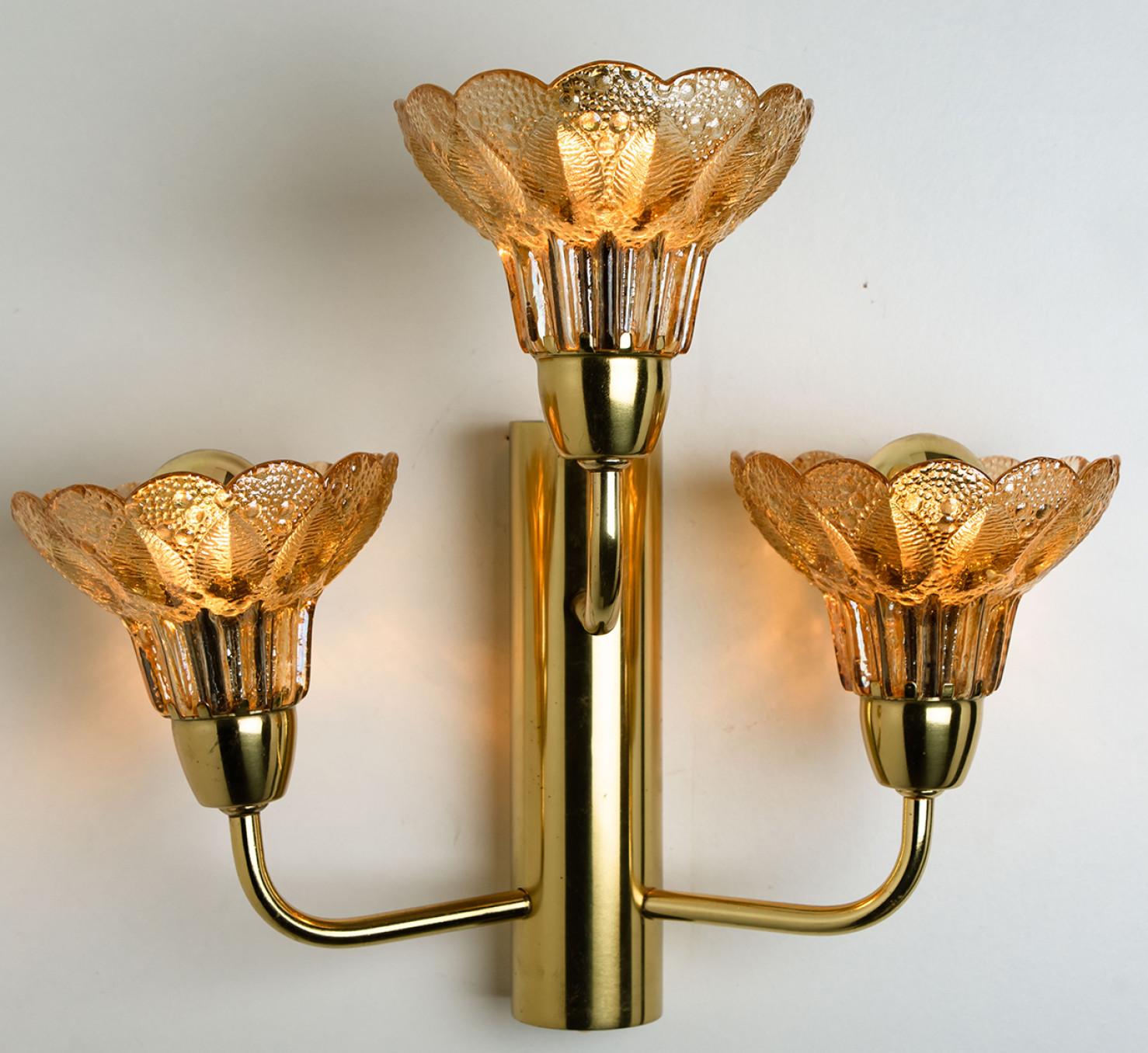 Mid-20th Century Several Flower Glass and Brass Wall Sconces, Germany, 1960s For Sale