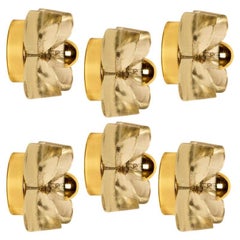 Vintage Several Flower Wall Lights, Brass and Glass by Sische, 1970s, Germany