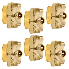 Vintage Several Flower Wall Lights, Brass and Glass by Sische, 1970s, Germany