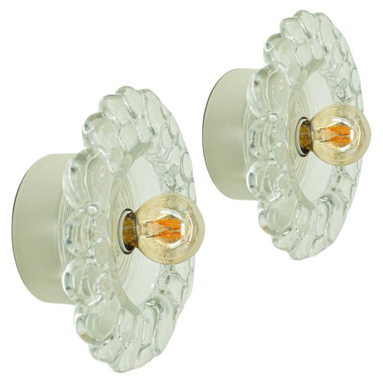 Several Peill Putzler Bubble Glass Wall lights Flush Mounts, 1970