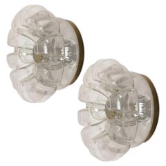 Several Peill Putzler Clear Glass Wall lights Flush Mounts, 1970