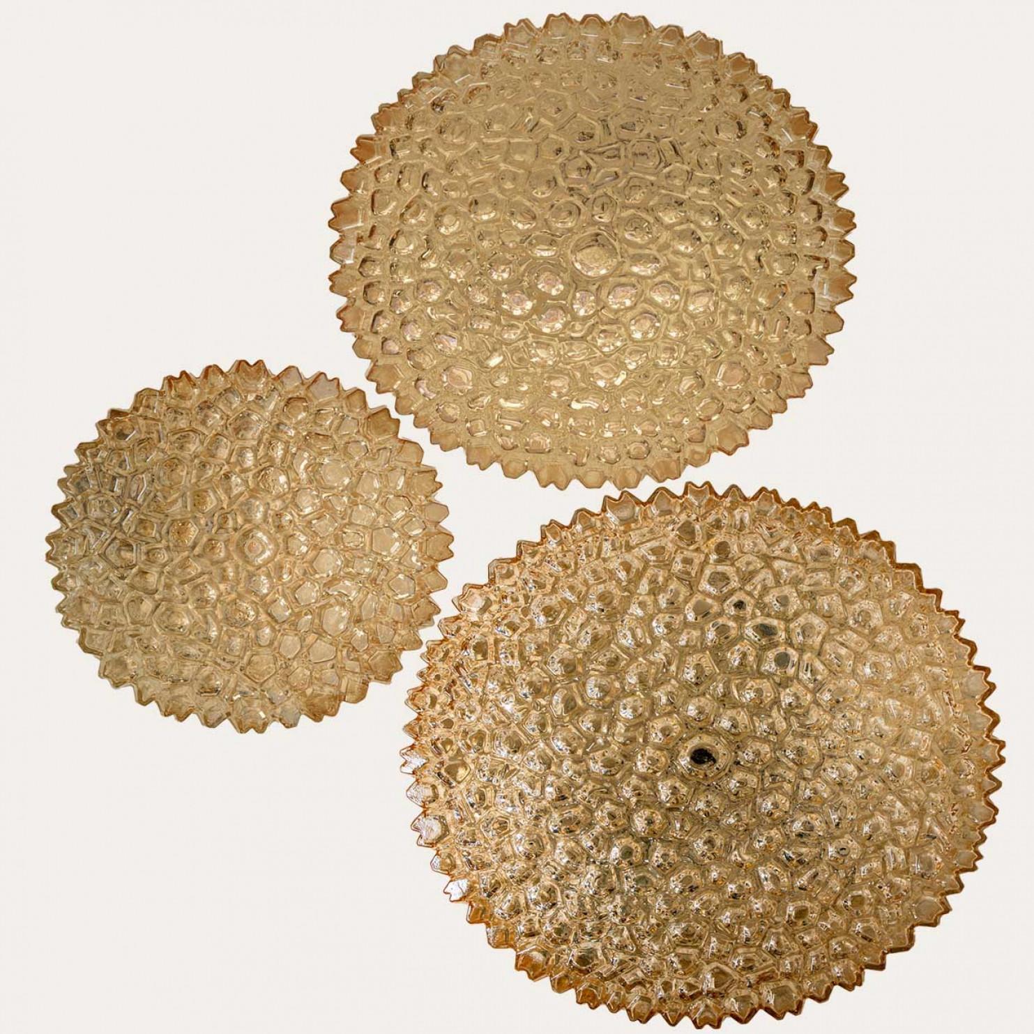 German Several Round Amber Textured Glass Wall Lights Flush Mounts, Limburg, 1970 For Sale