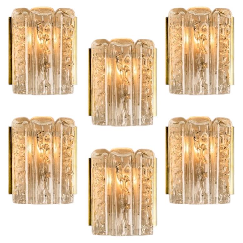 Several Structured Blown Glass and Brass Wall Sconces by Doria, 1960