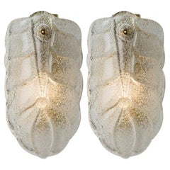 Several Wall Sconces Barovier & Toso Gold Glass Murano, Italy