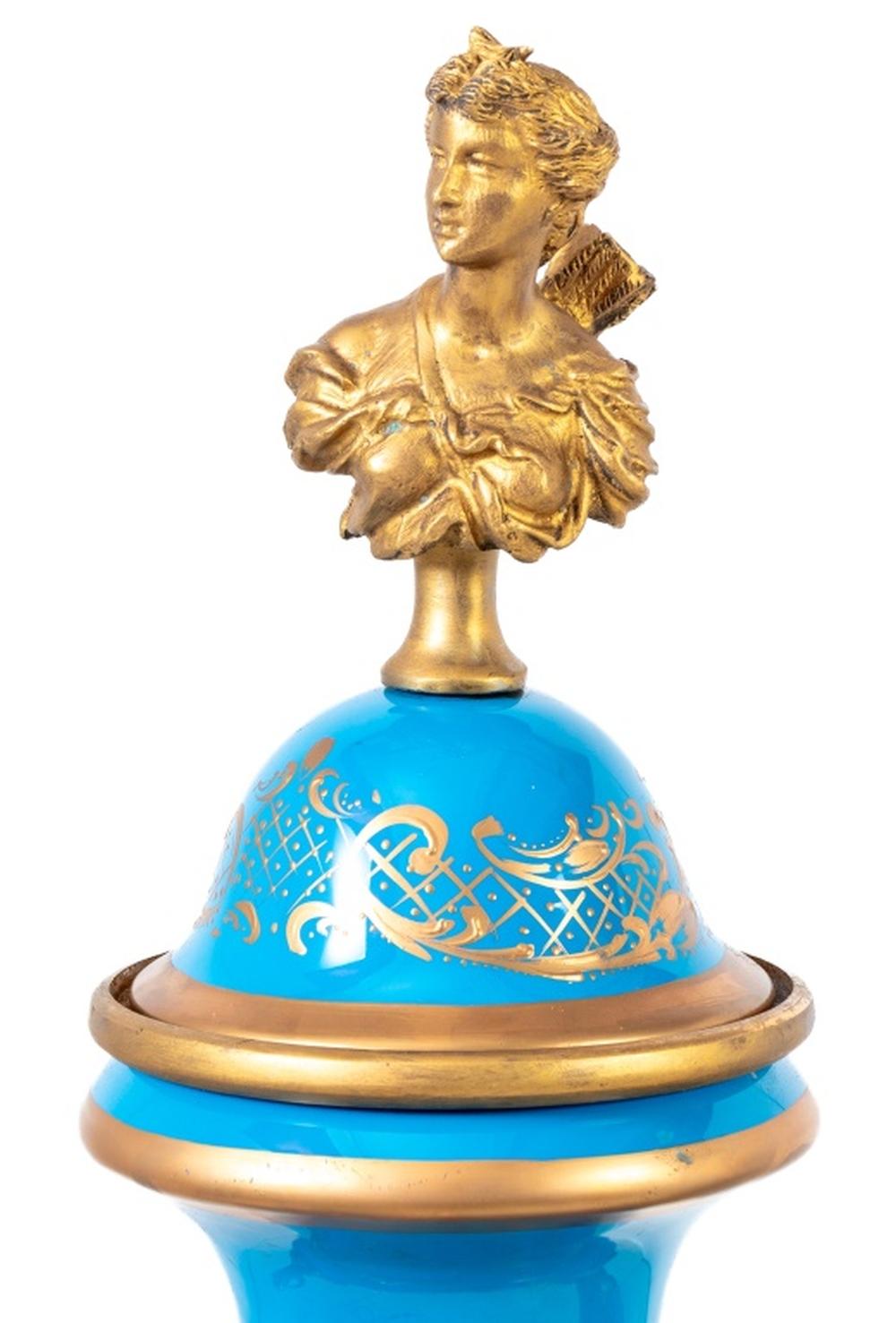 Neoclassical Sevres Bleu Celeste Ground Ovoid Vases, Pair For Sale
