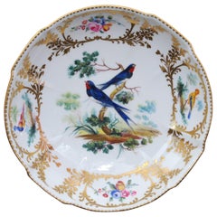 Sevres Dish, Thomas Martin Randall Decoration, circa 1840