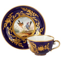 Tasse à thé et soucoupe en porcelaine de Sèvres peinte à la main avec des scènes d'oiseaux, 1791