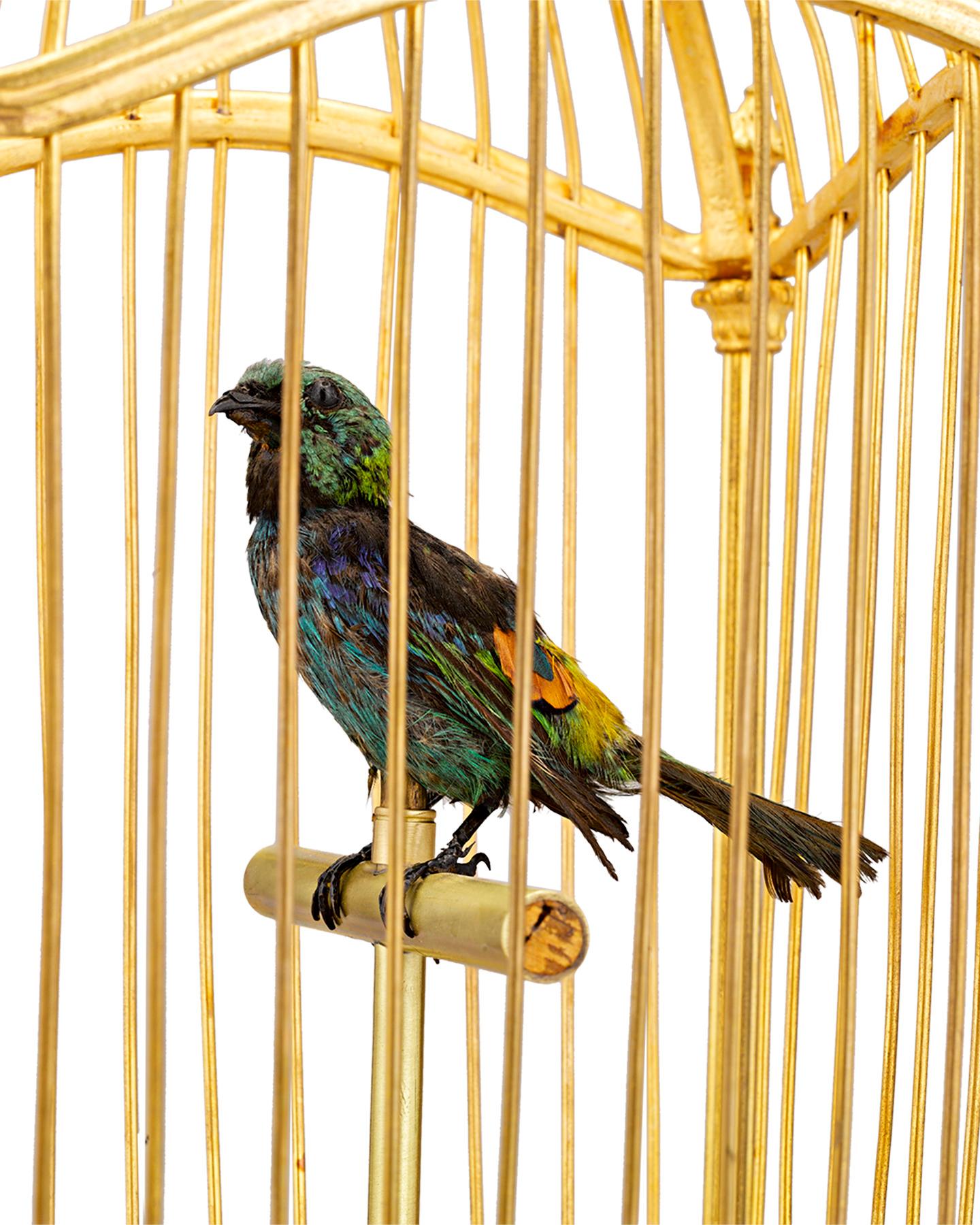 Gilt Sèvres Porcelain-Mounted Bird Cage Music Box