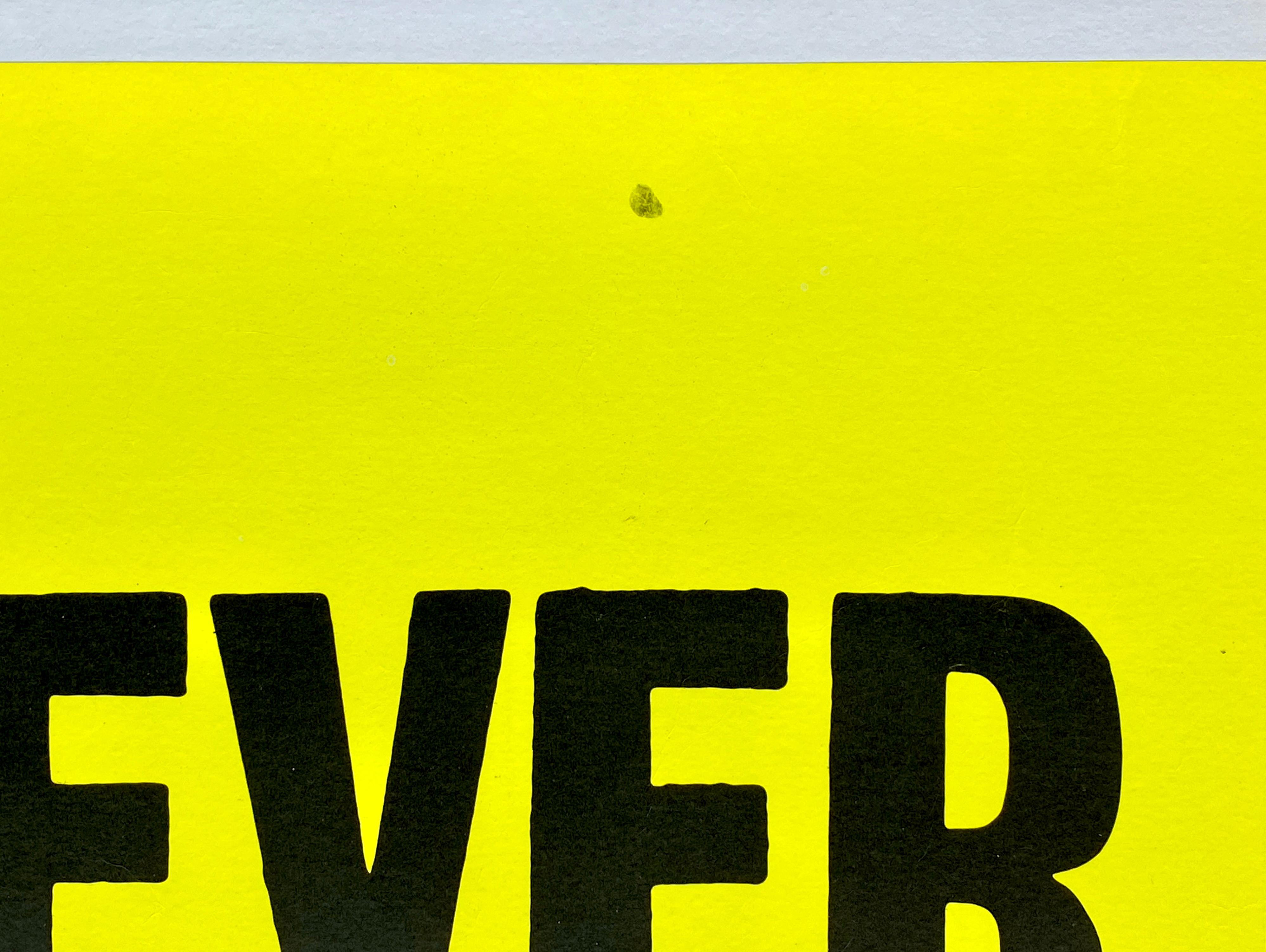 Sex Pistolen „Never Mind The Bollocks“ UK-Werbeplakat von Jamie Reid, 1977 im Zustand „Gut“ im Angebot in Devon, GB