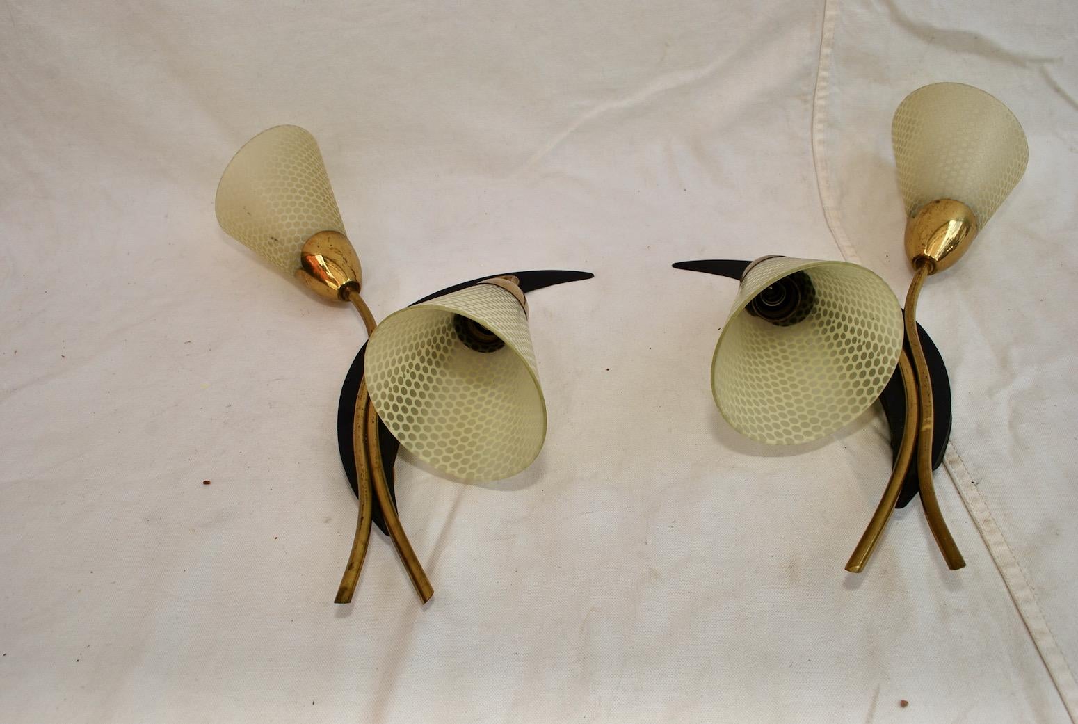 Sexy Large Pair of French Mid Century Sconces 'Possibly Maison Arlus' For Sale 1