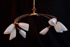 Sexy Midcentury French Chandelier