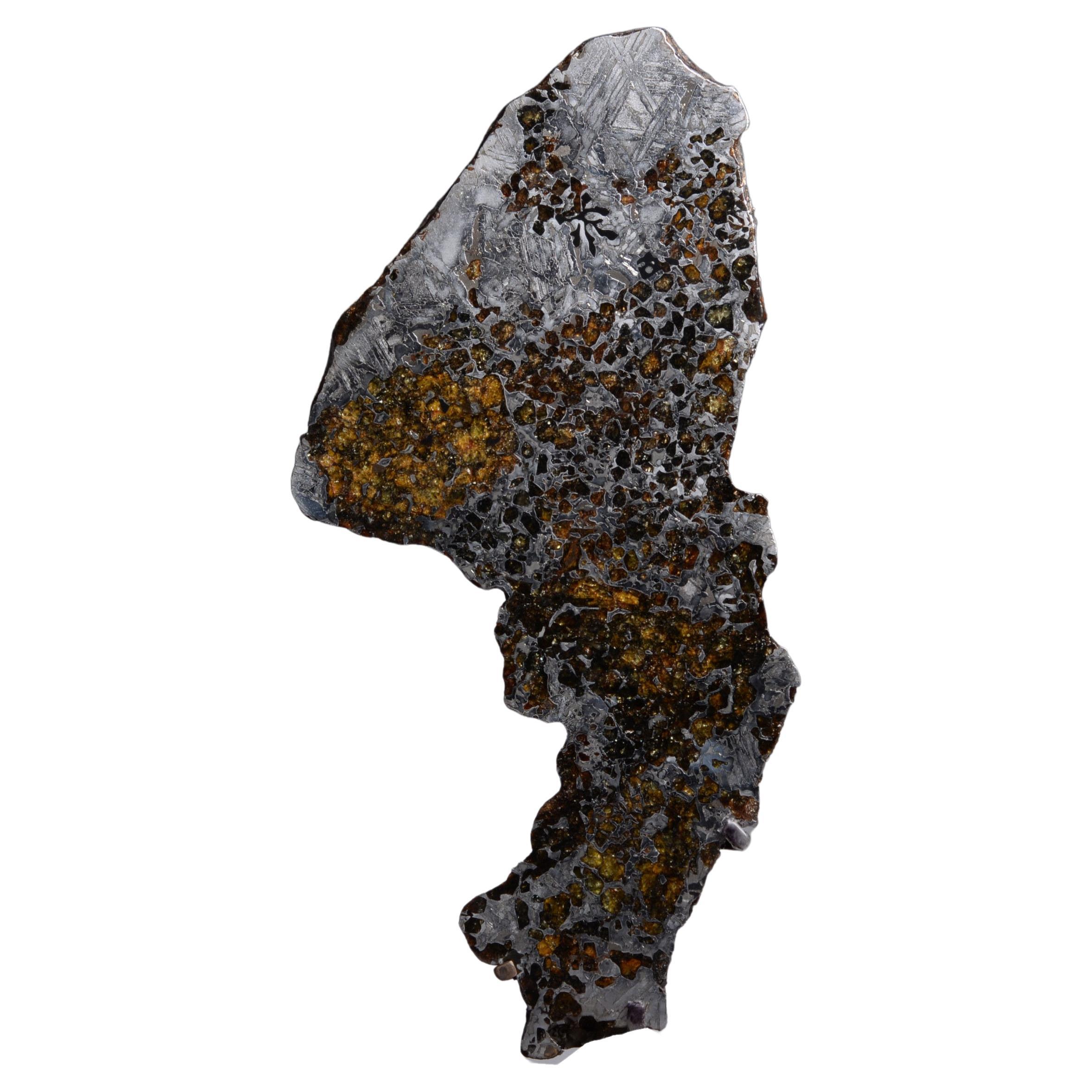 Seymchan Meteorite End-Cut