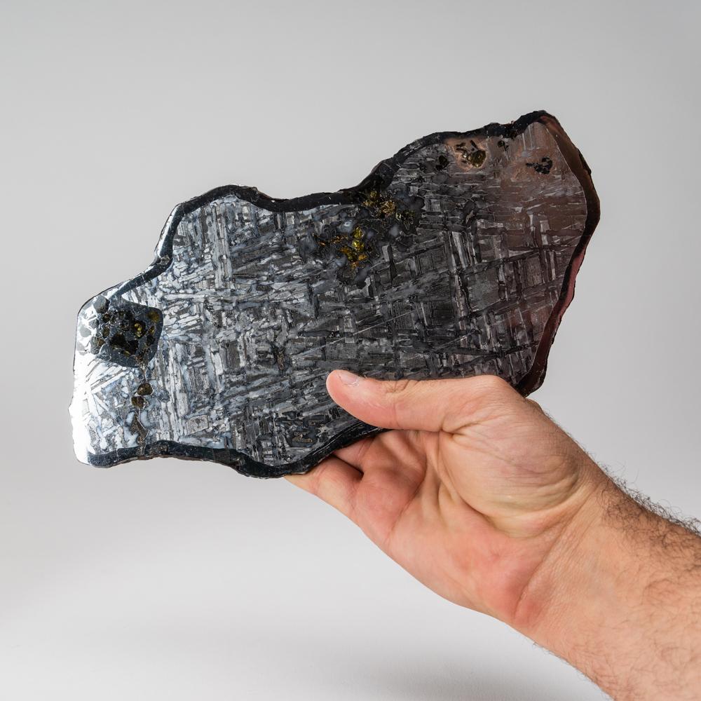 Européen Authentique dalle de météorite Seymchan en pallasite de Russie en vente